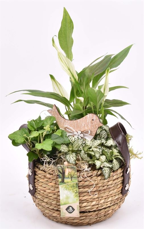 Touwmand met leer handv.16-18cm, D 18