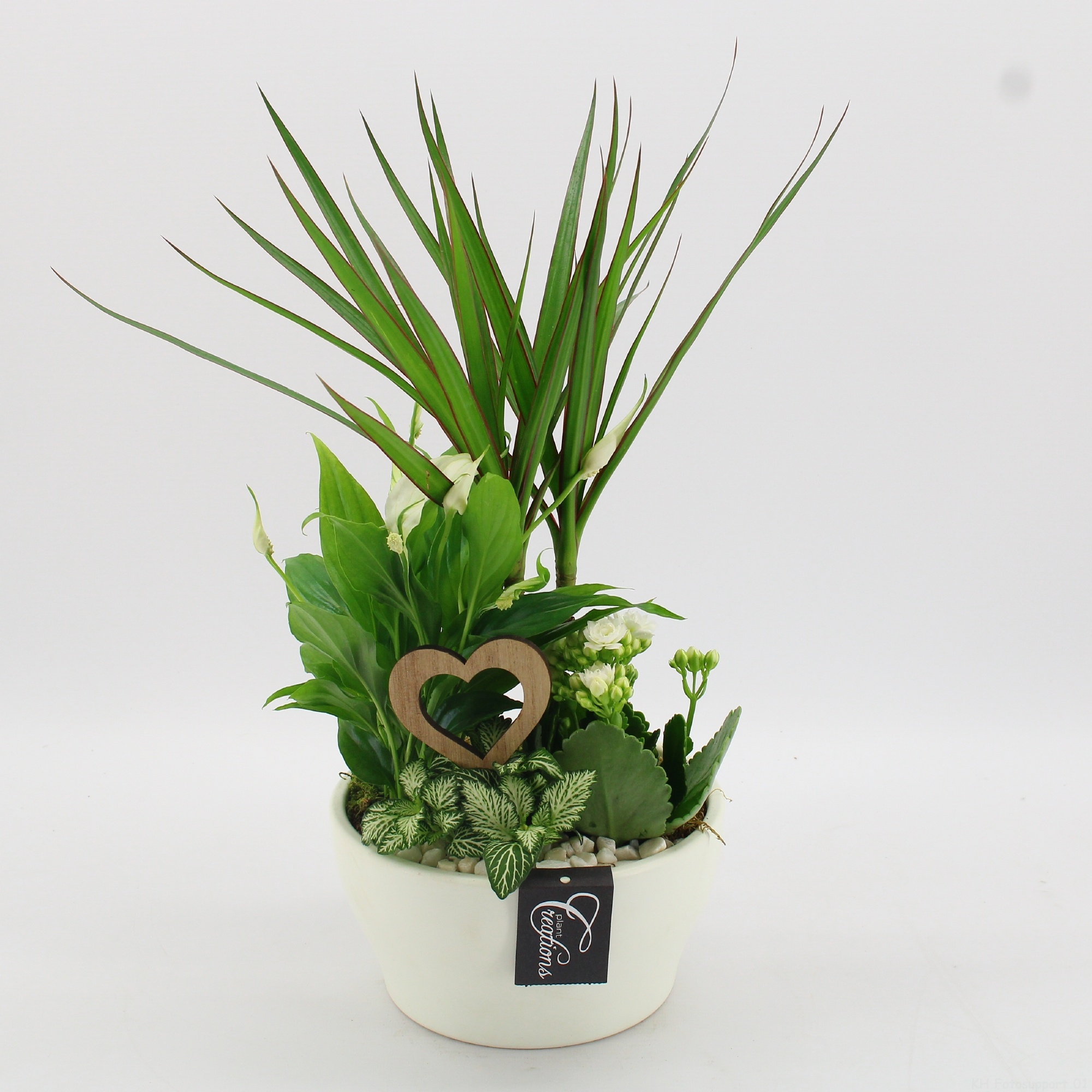 FDRM-2609W Romantic Fundamentals, D 19