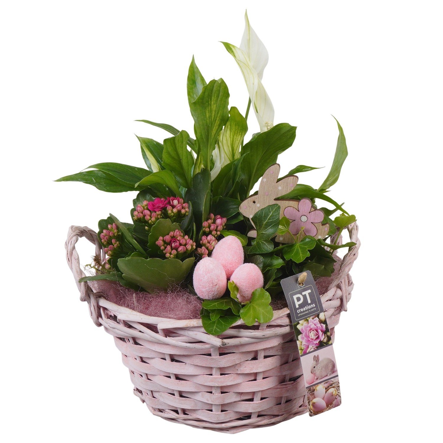 PTPB6560 Arrangement Easter in rieten mand, D 20