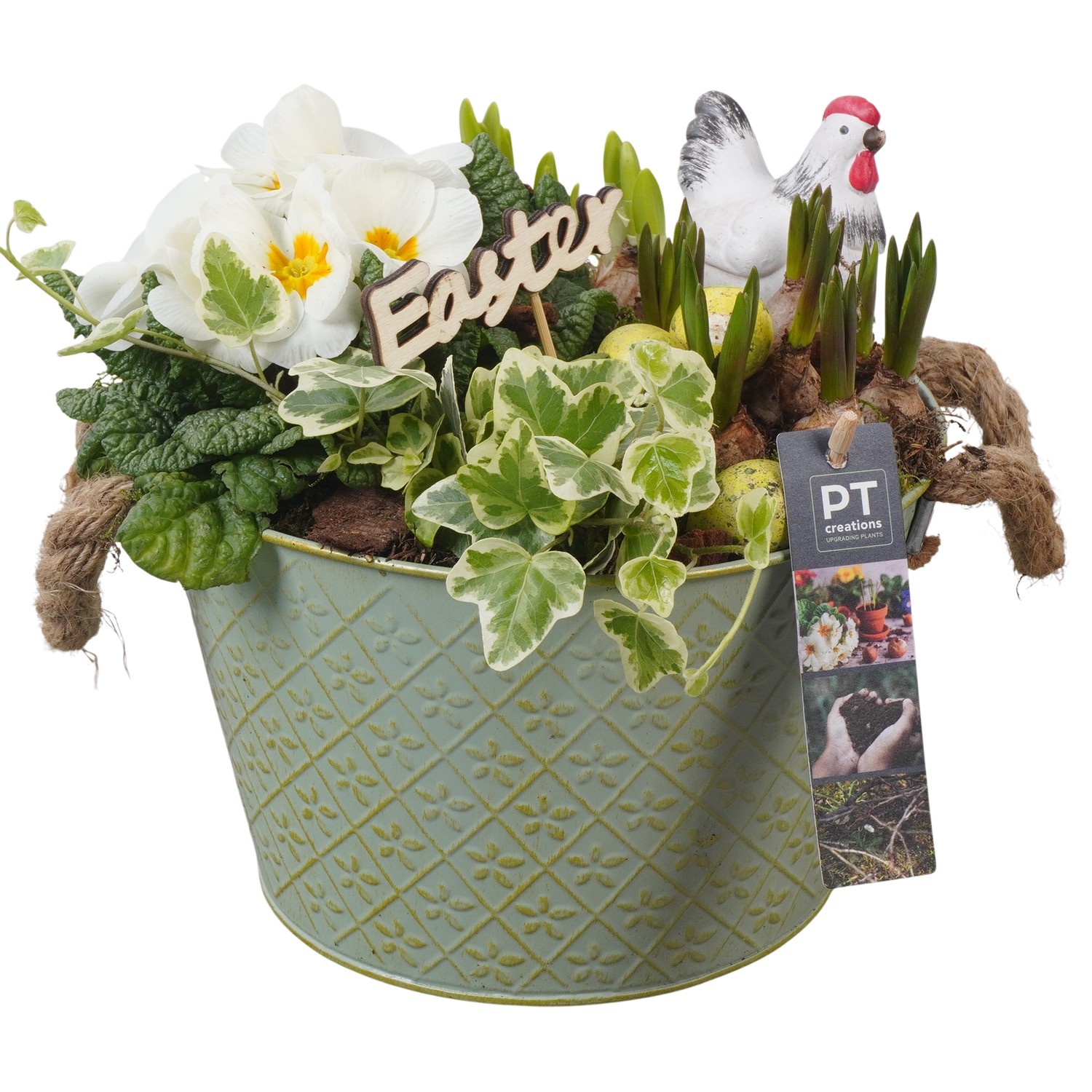 PTBMP5648 Arrangement Easter Bulbs Mix in zink pot, D 22