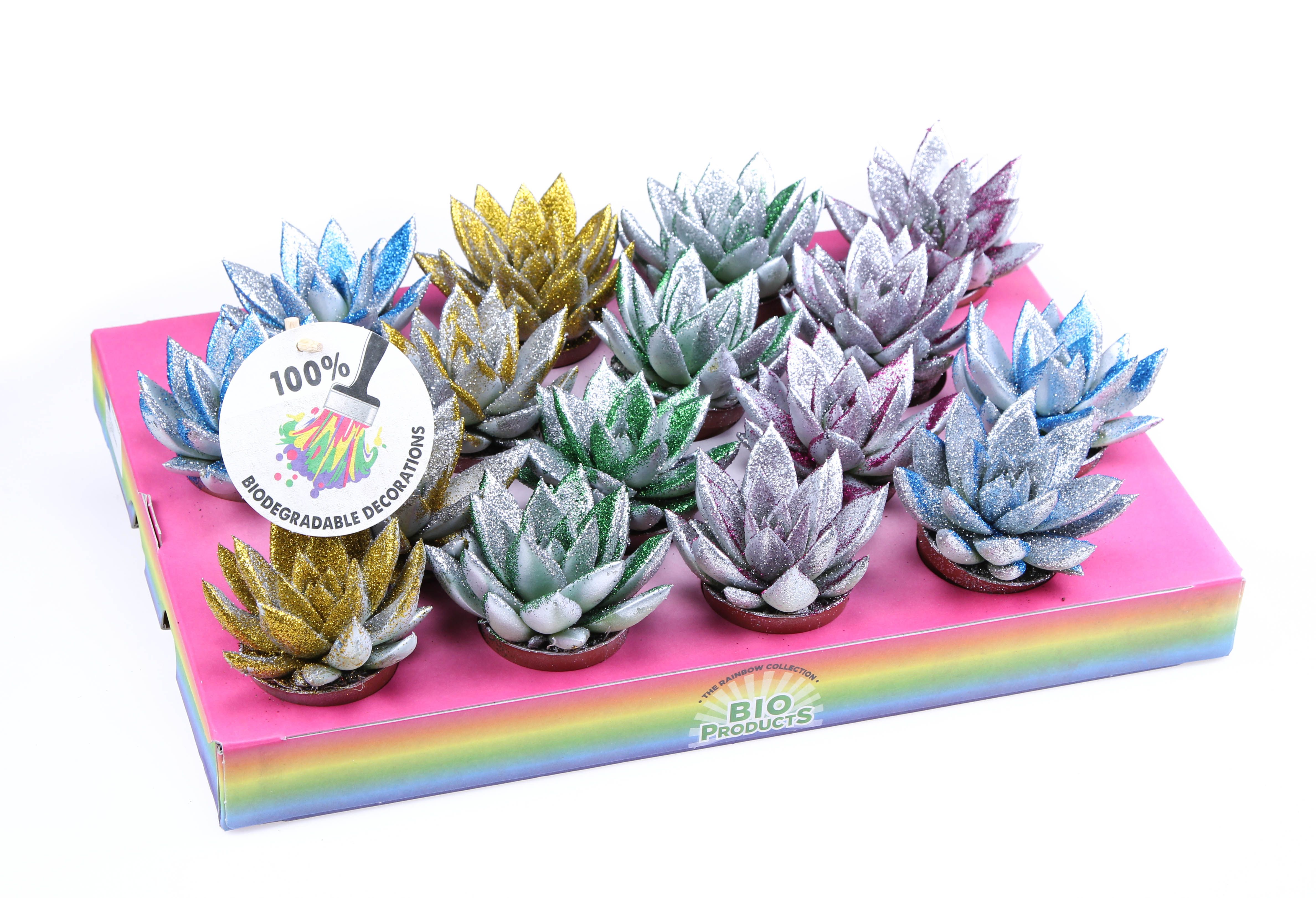 Bio Miranda zilver + mix glitter, D 6,5