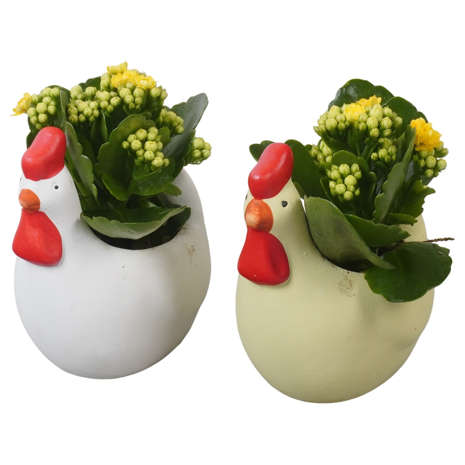 PTPB6609 Arrangement Easter in keramiek kip, D 12