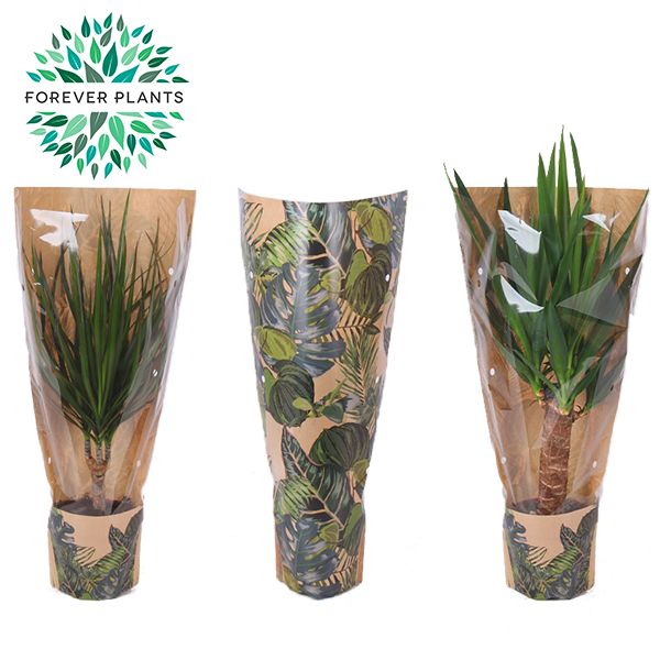 Groen Mix p14 in HOES GREEN JEWELS, D 14