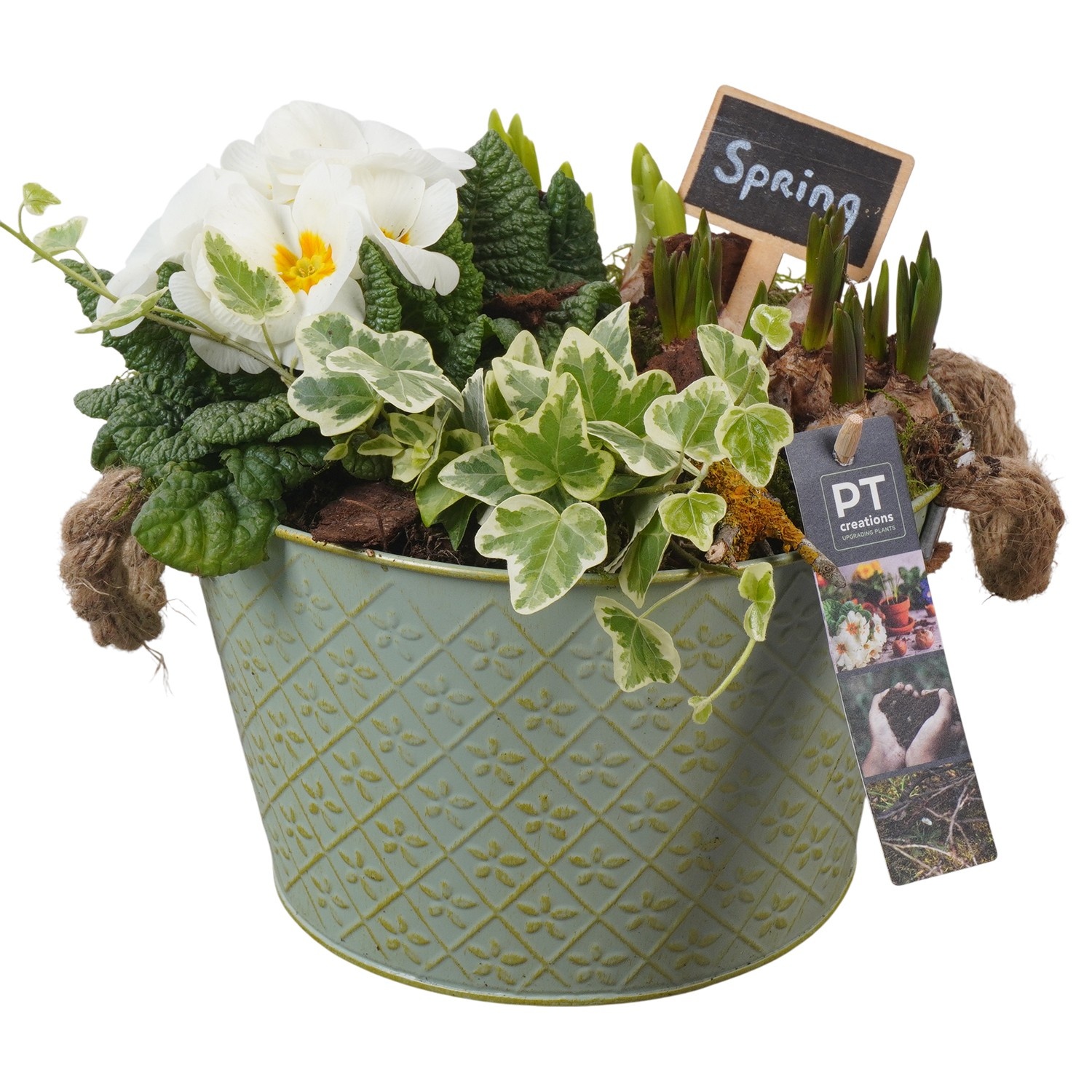 PTBM3753 Arrangement Flower Bulbs Mix in metalen pot, D 22