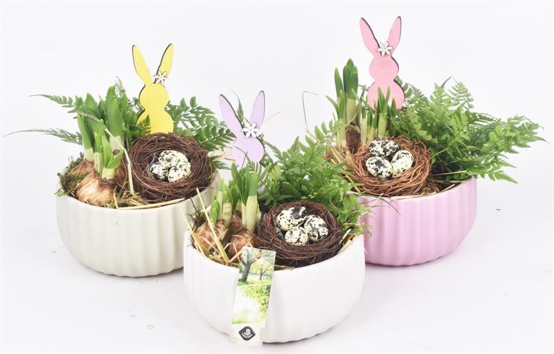 Keramiek schaal kleur mix 16,5cm, D 16