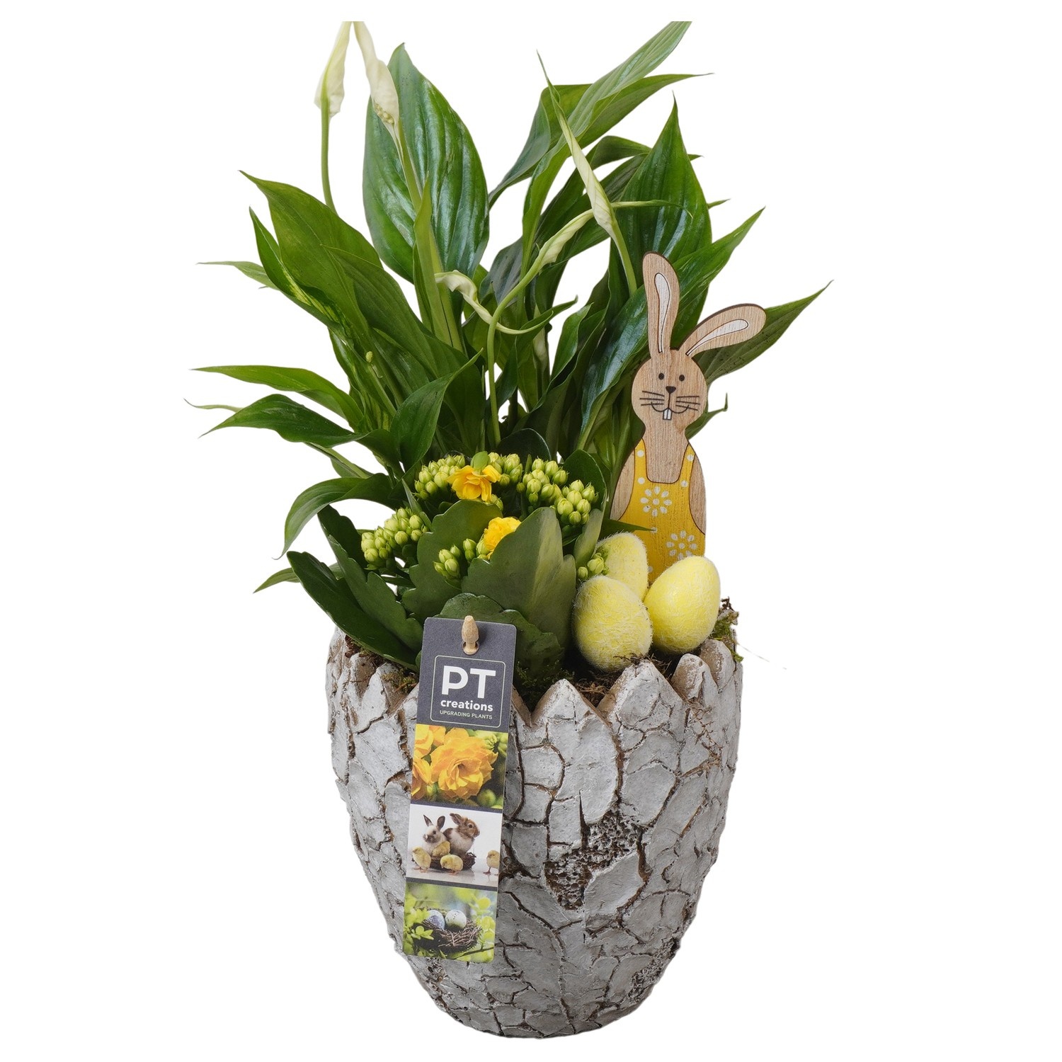 PTPB6606 Arrangement Easter in beton ei, D 14