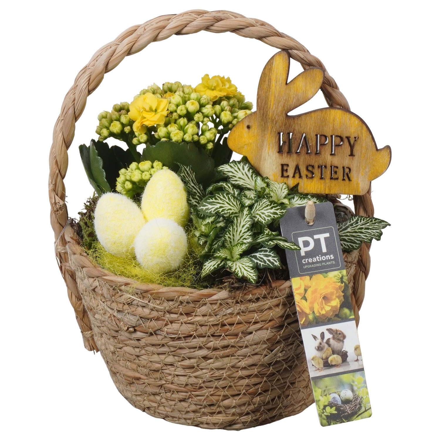 PTPB6545 Arrangement Easter in rieten mand, D 15