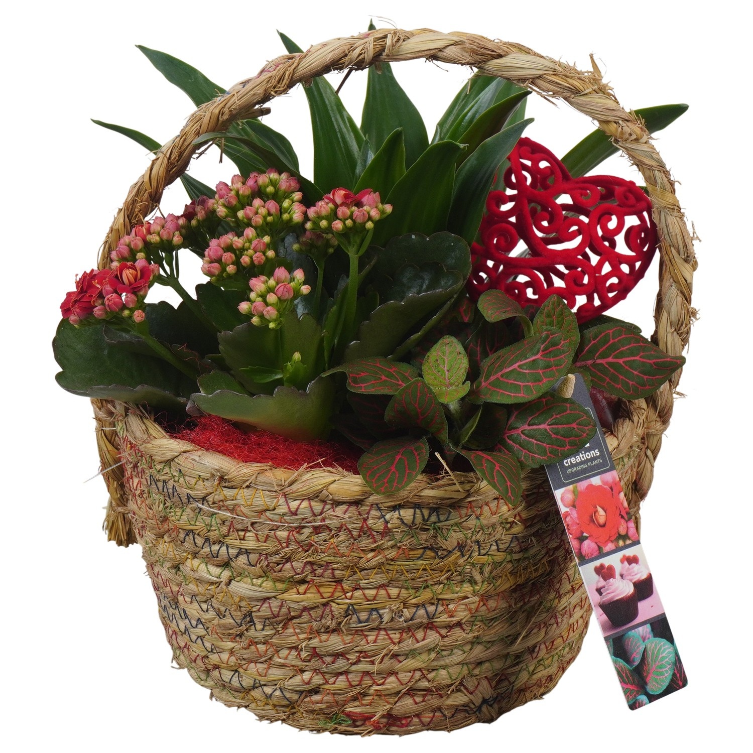 PTVMB2349 Arrangement Valentines-Mothersday in riet mand, D 18