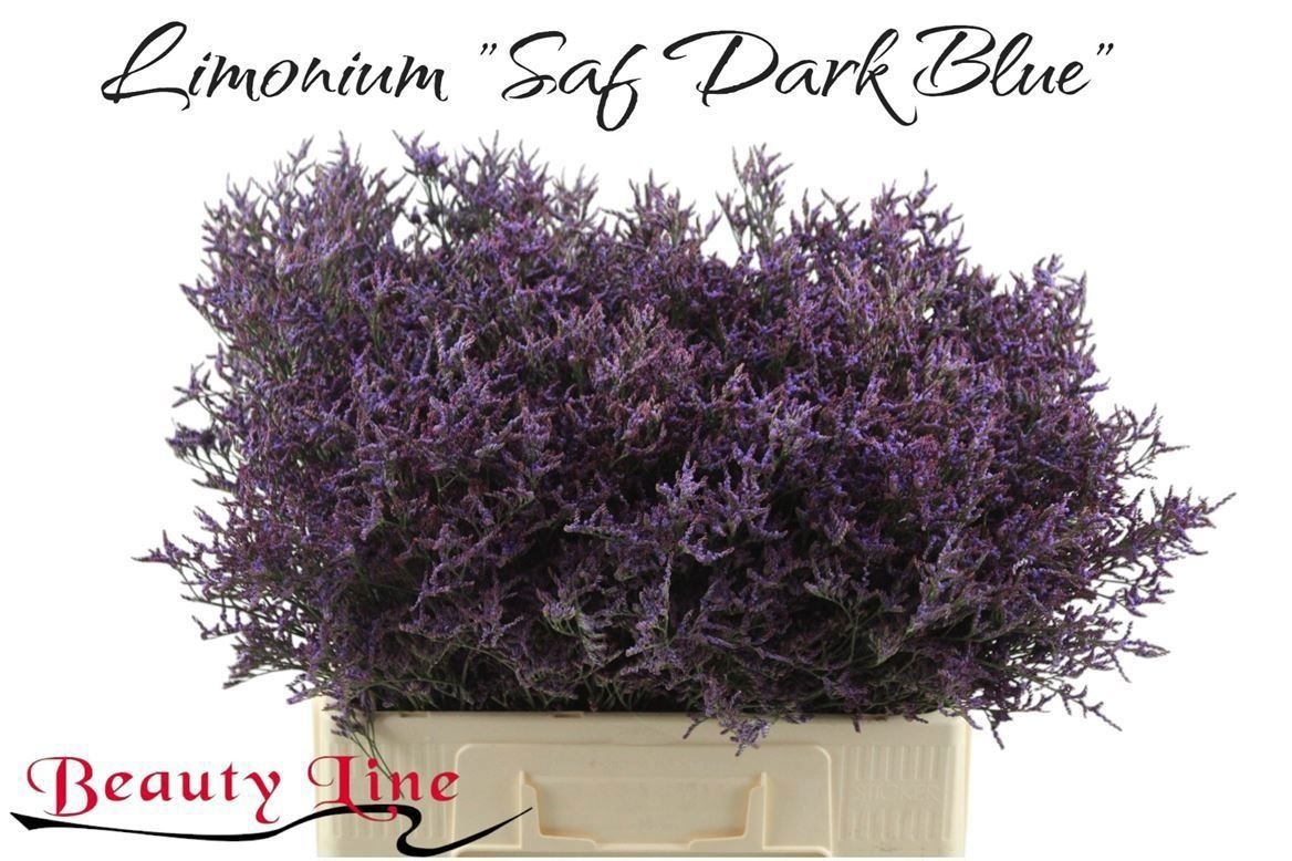 Лимониум Сафора Дарк Блю 60, шт.