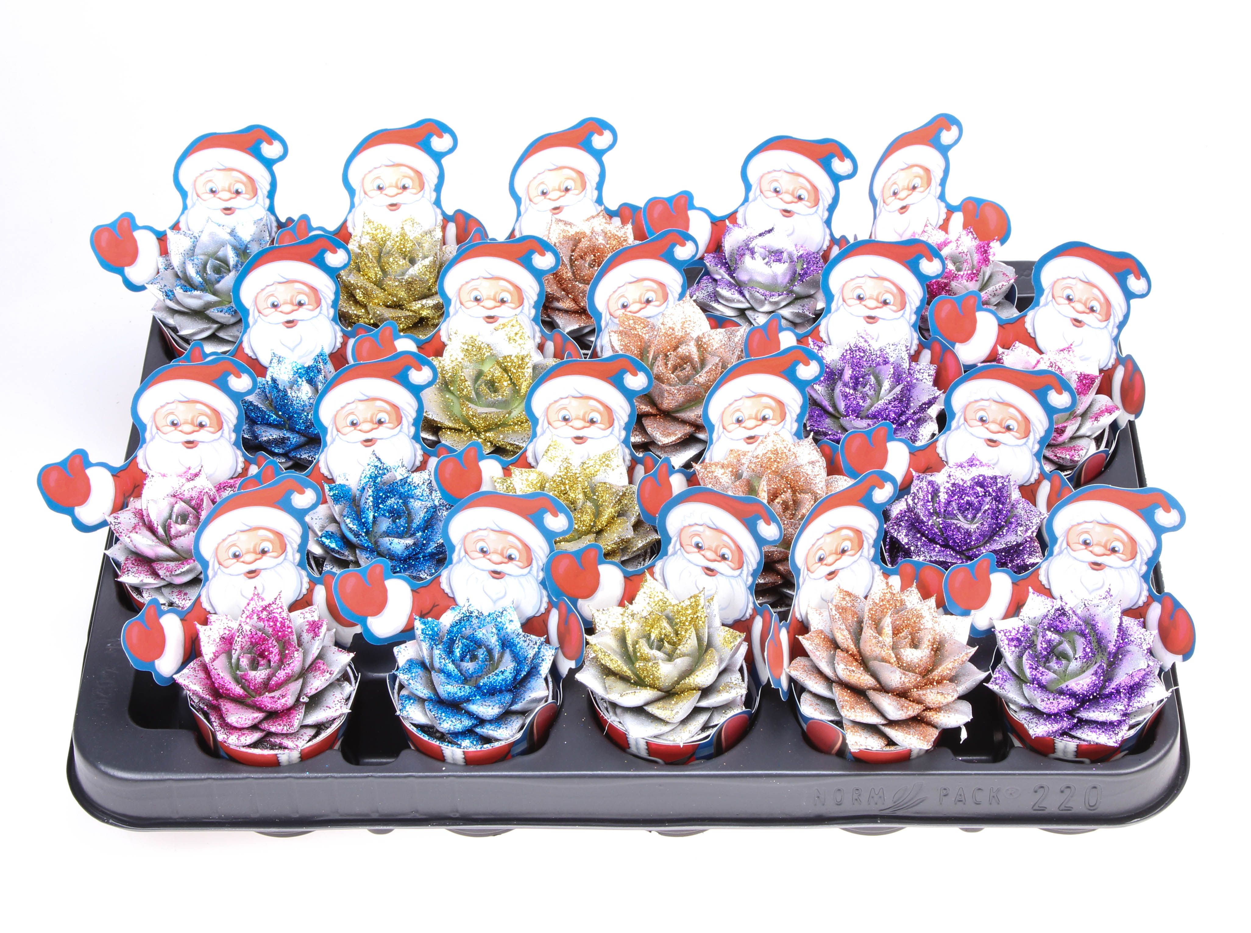 Potcover santaclaus purper zilver + glitter mix, D 5,5