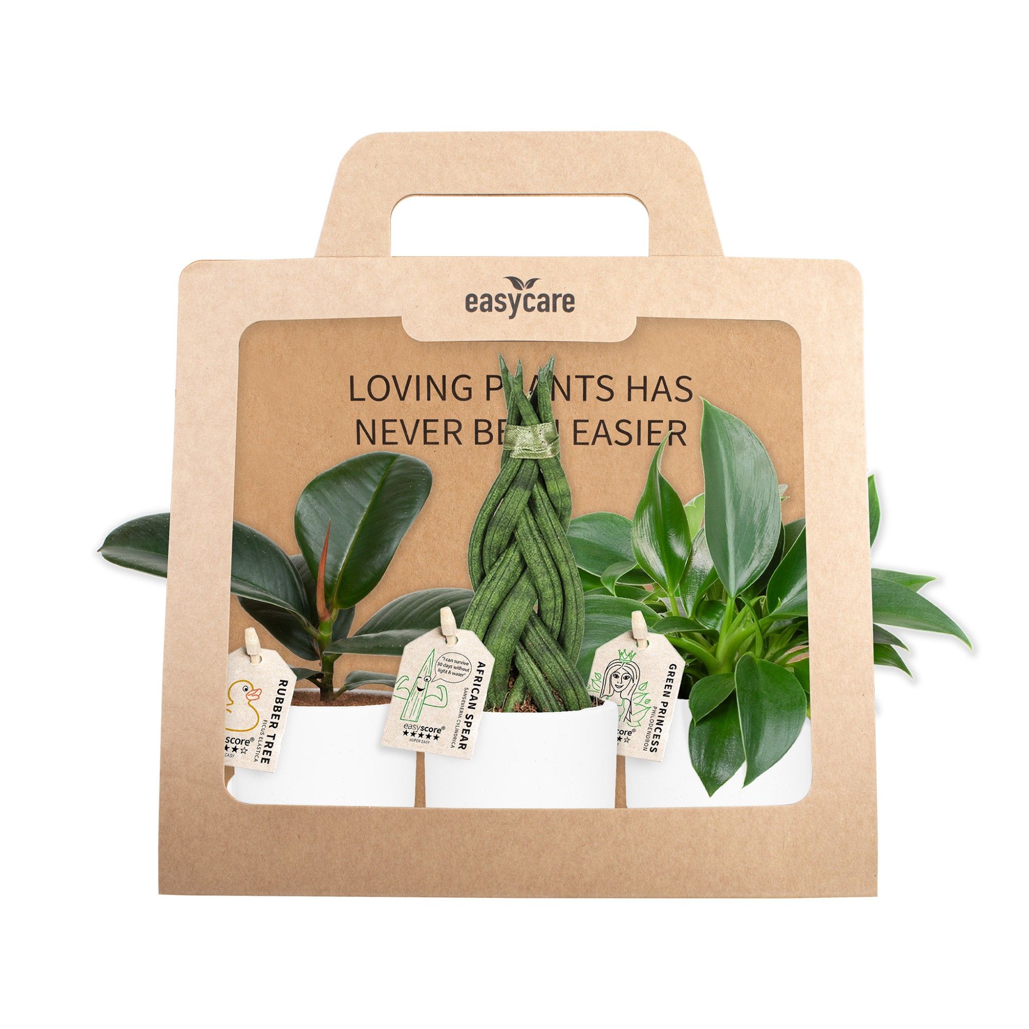 3-Pack Woodbase White, D 7