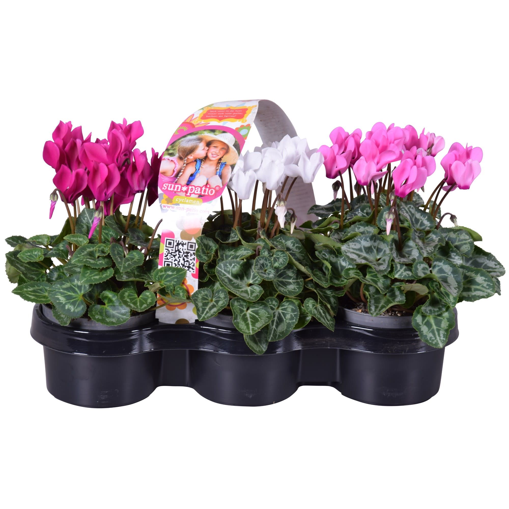 Cycl Patio  Sunpatio 3-pack, D 10,5