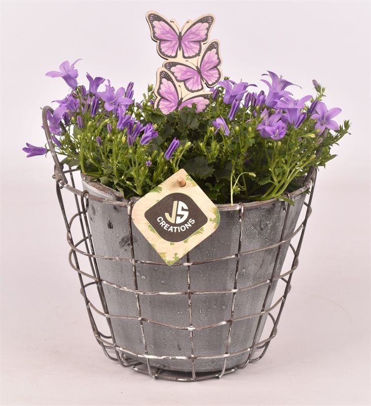 Gaas mandje metaal 16cm, D 14