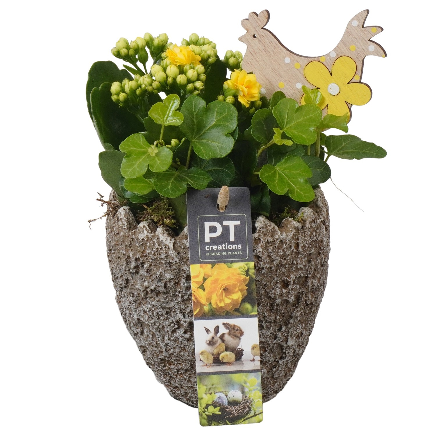 PTPB6601 Arrangement Easter in beton ei, D 11