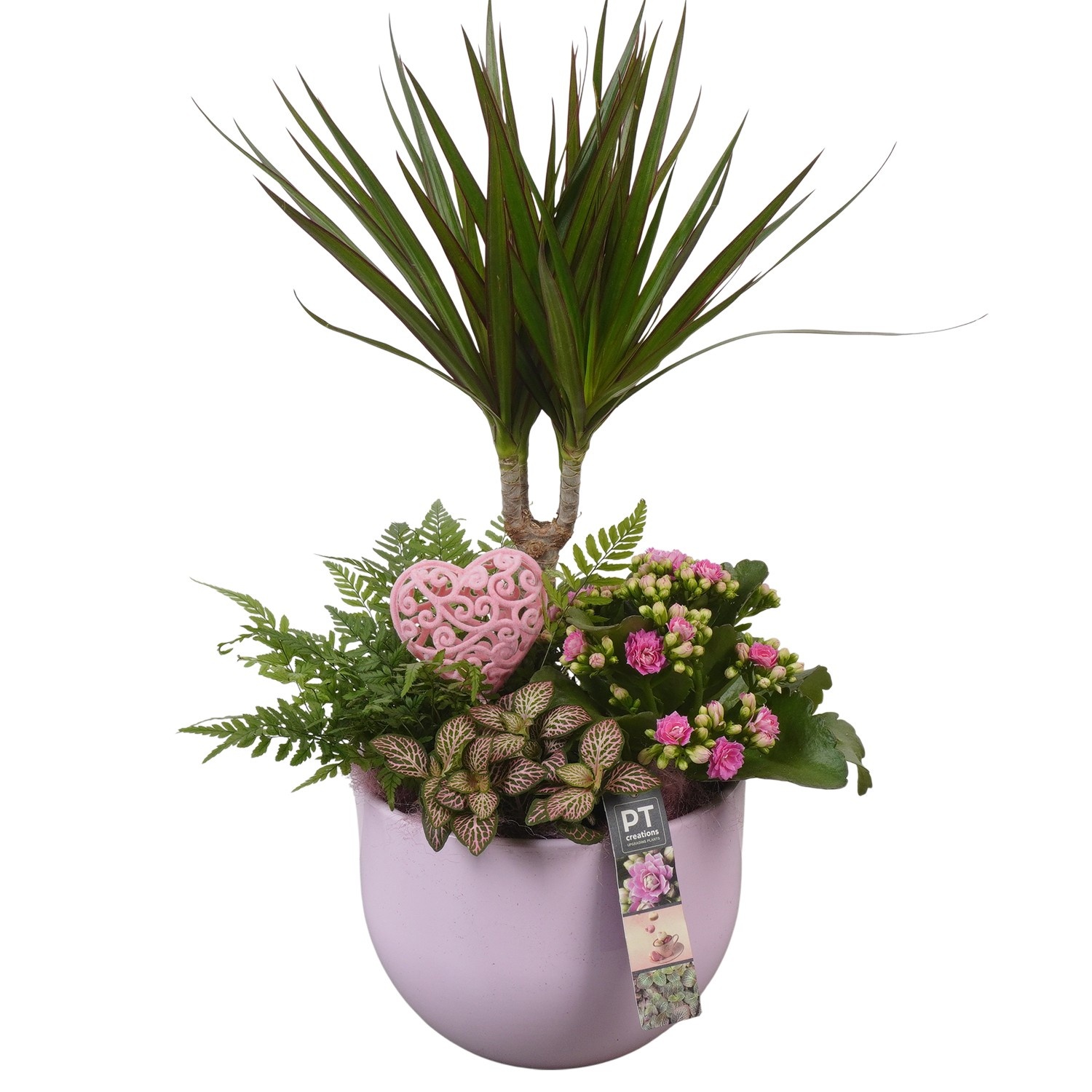 PTVMB2215 Arrangement Valentines-Mothersday in keramiek sierpot, D 19