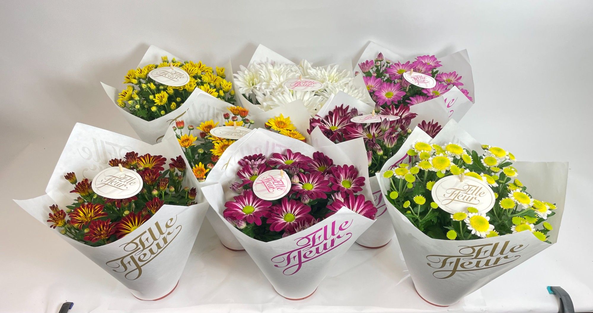 Elle Fleur papier, D 14