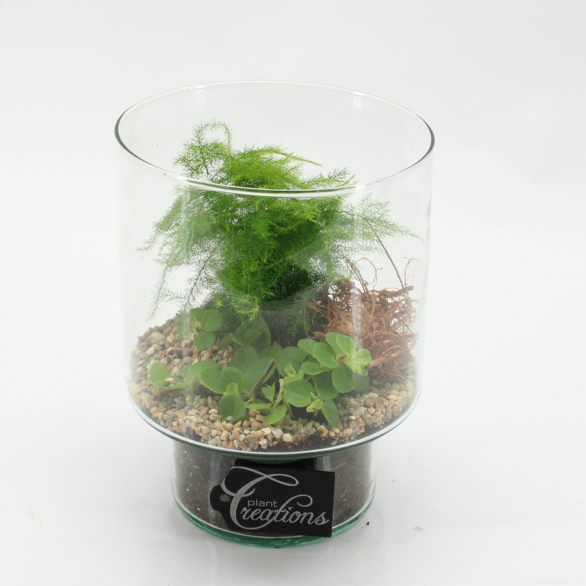 GRCR-2602 Green Essentials, D 15