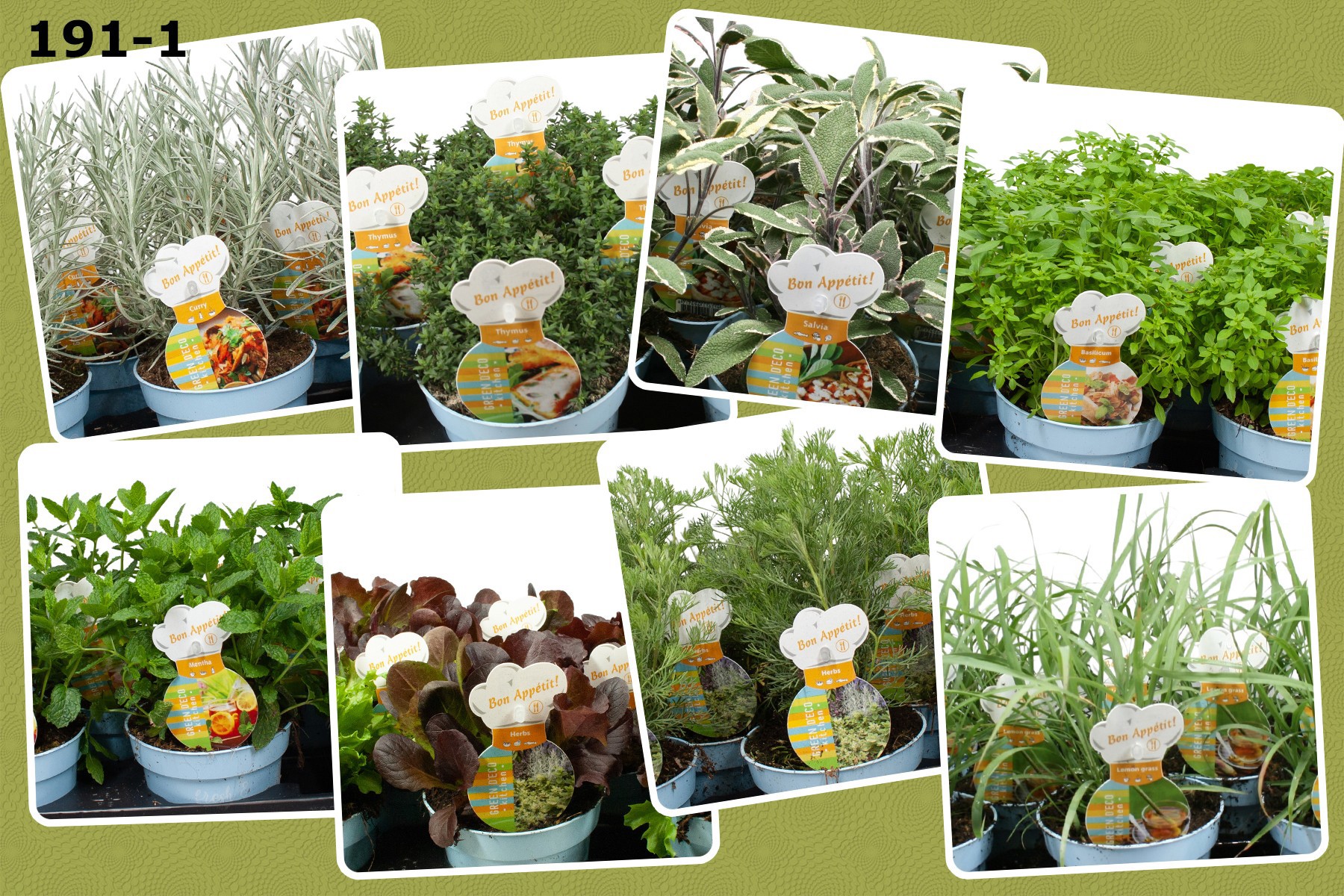 Kruiden 12 cm op soort tray 6 soorten per laag, D 12