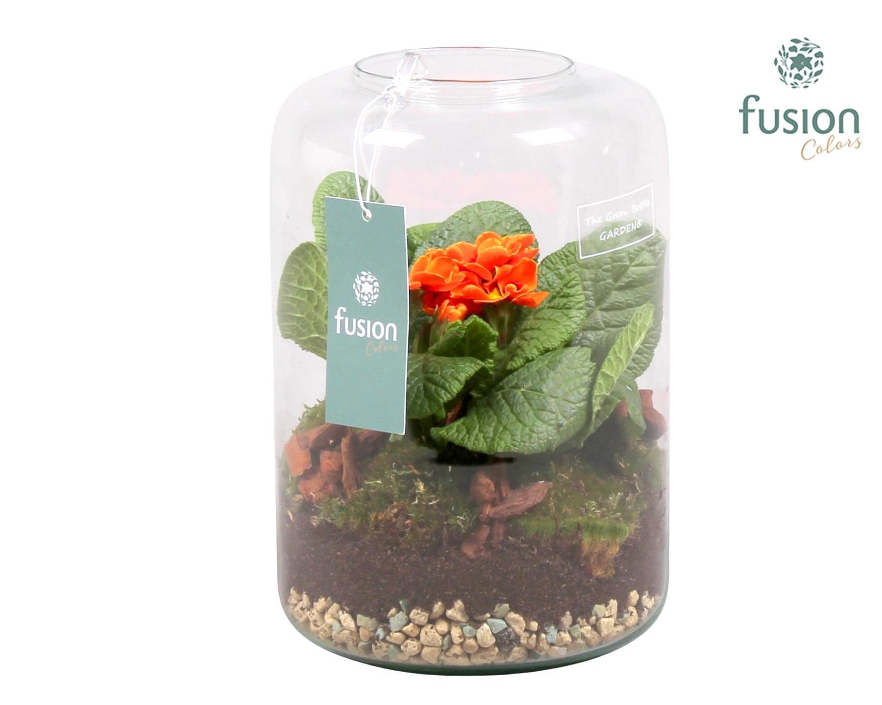 Green Bottle Isabella Small Voorjaar met Primula Acaulis, D 15