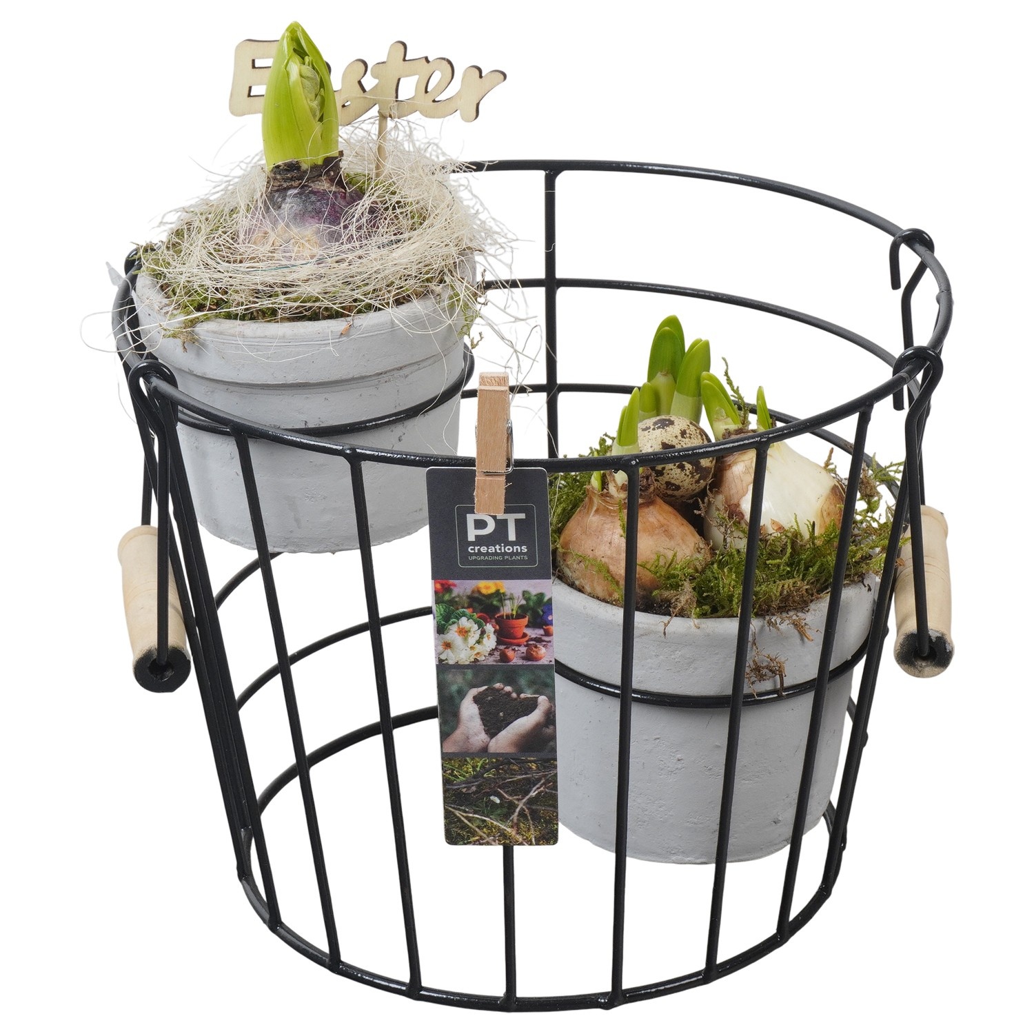 PTBMP5708 Arrangement Easter Bulbs Mix in terracotta pot met metaal, D 23