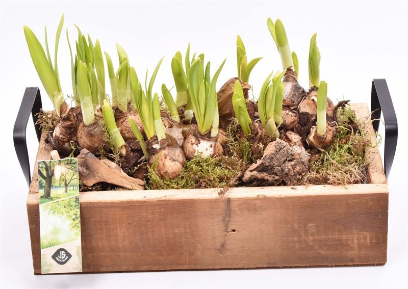 Hout dienblad metal greep 30x15cm, D 27