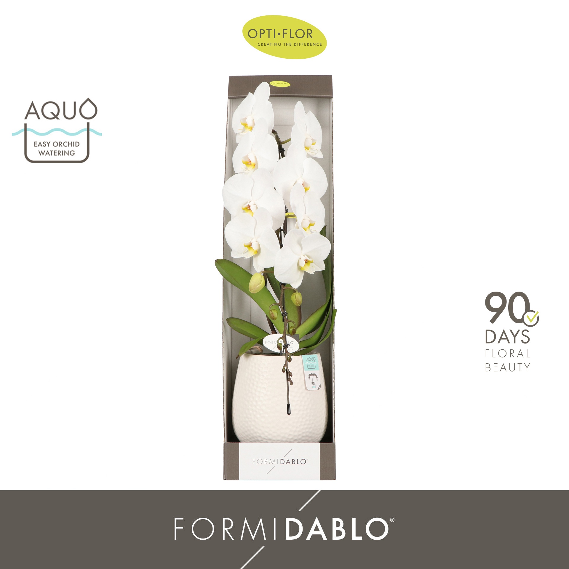 Formidablo Niagara Falls in Abruzzo White Aquo Showdoos, D 12