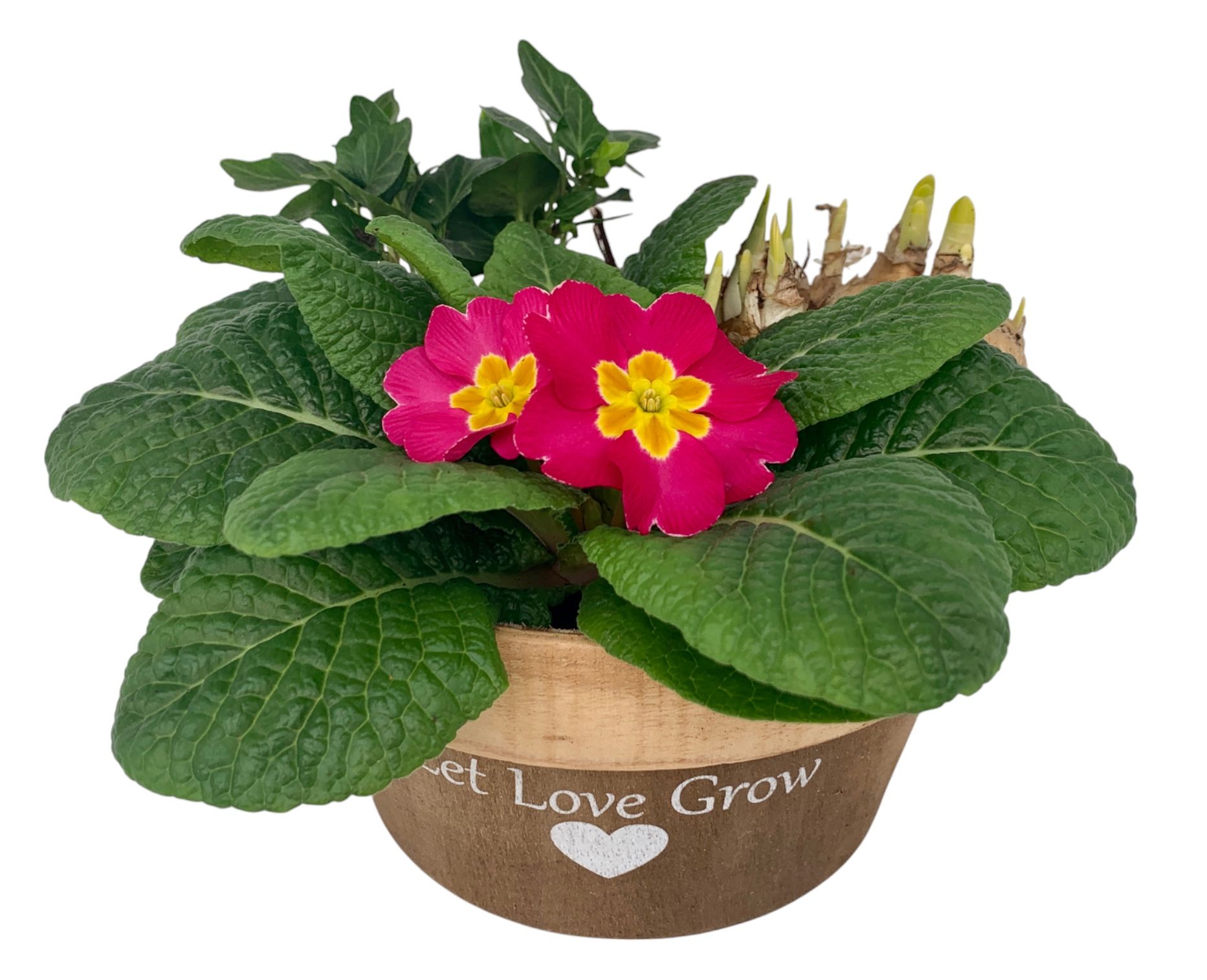 Love Rond hout 1x tet 1x hedr 1x prim 538, D 20