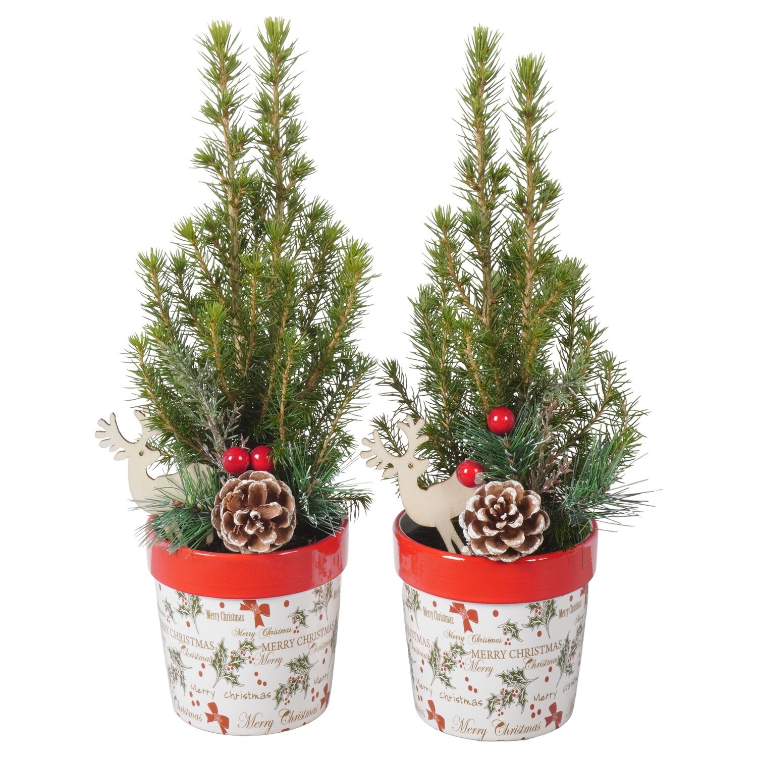 PTK26166 Conica Perfecta in keramiek pot met decoratie, D 10