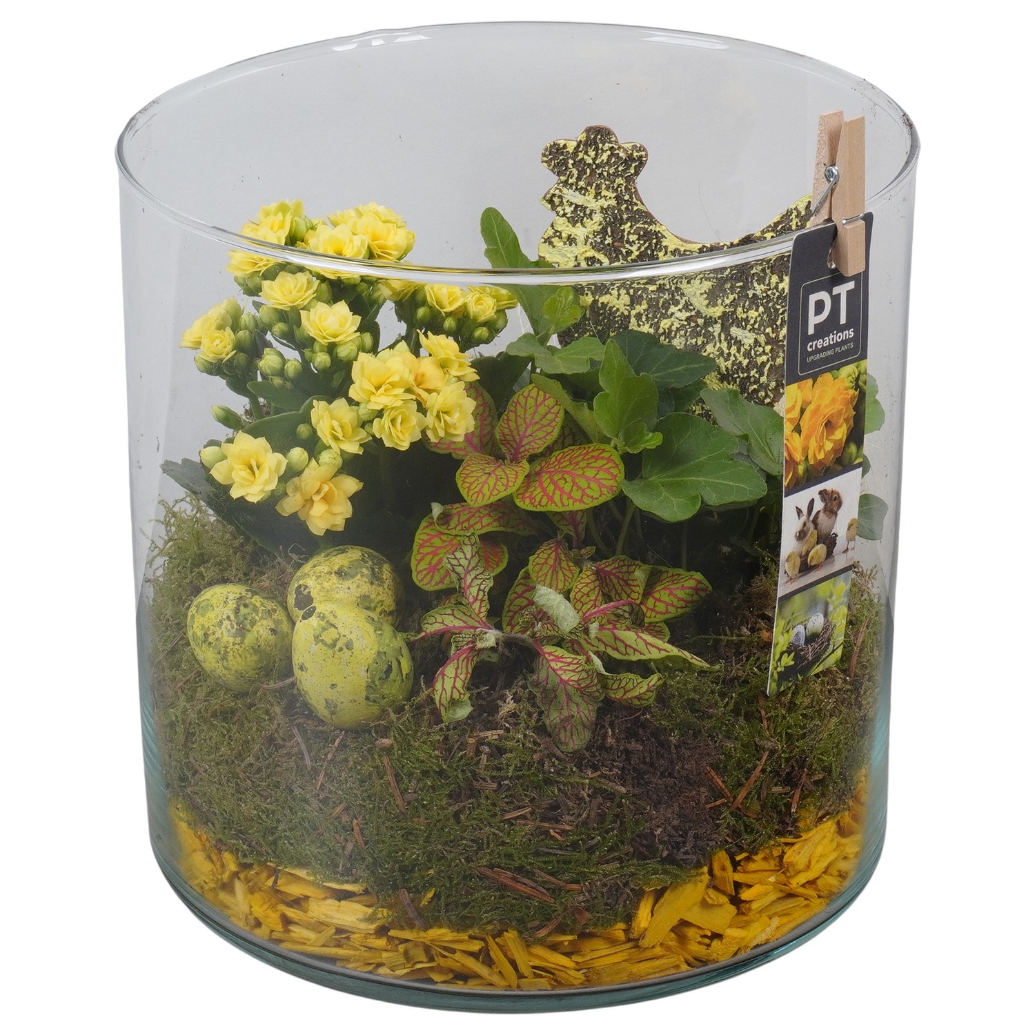 PTPG9331 Arrangement Easter in glas vaas, D 19