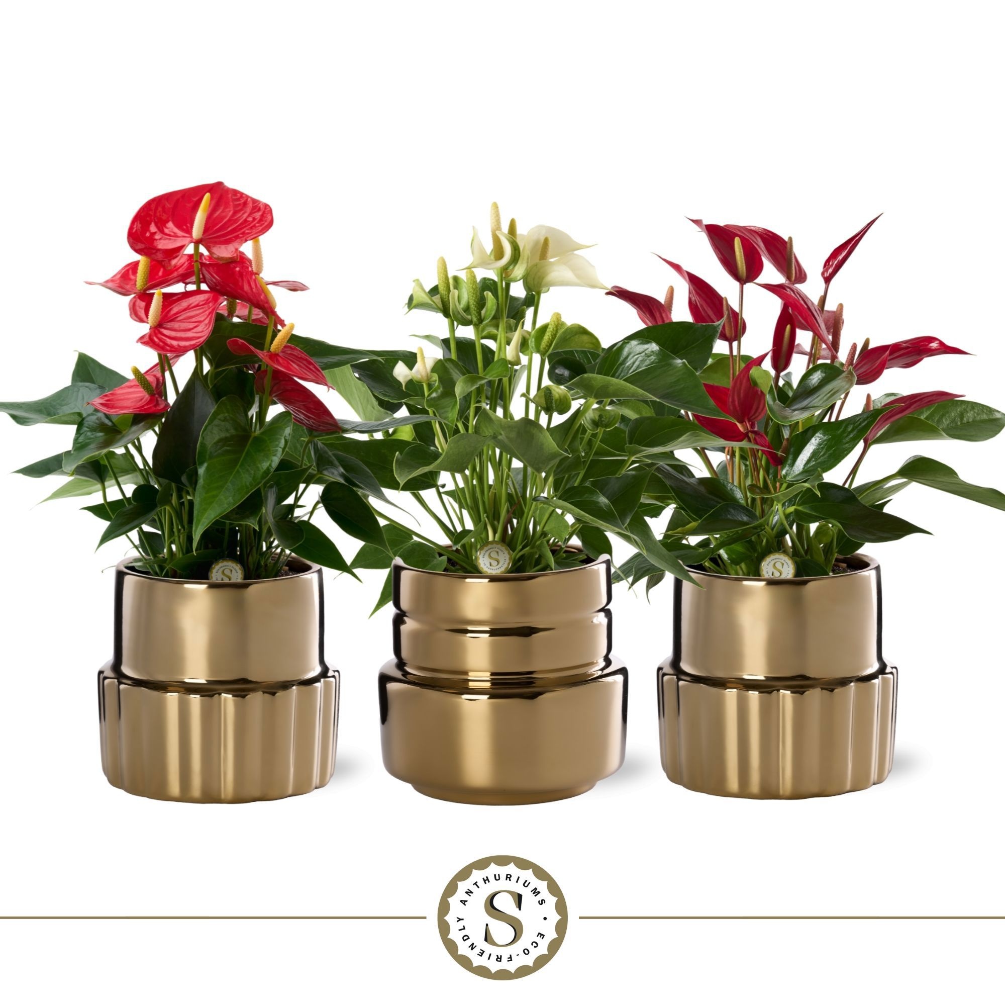 Oslo Gold Keramiek 12cm Mix, D 12