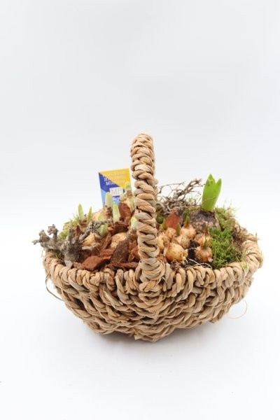 Bollen, touwmand L, D 28