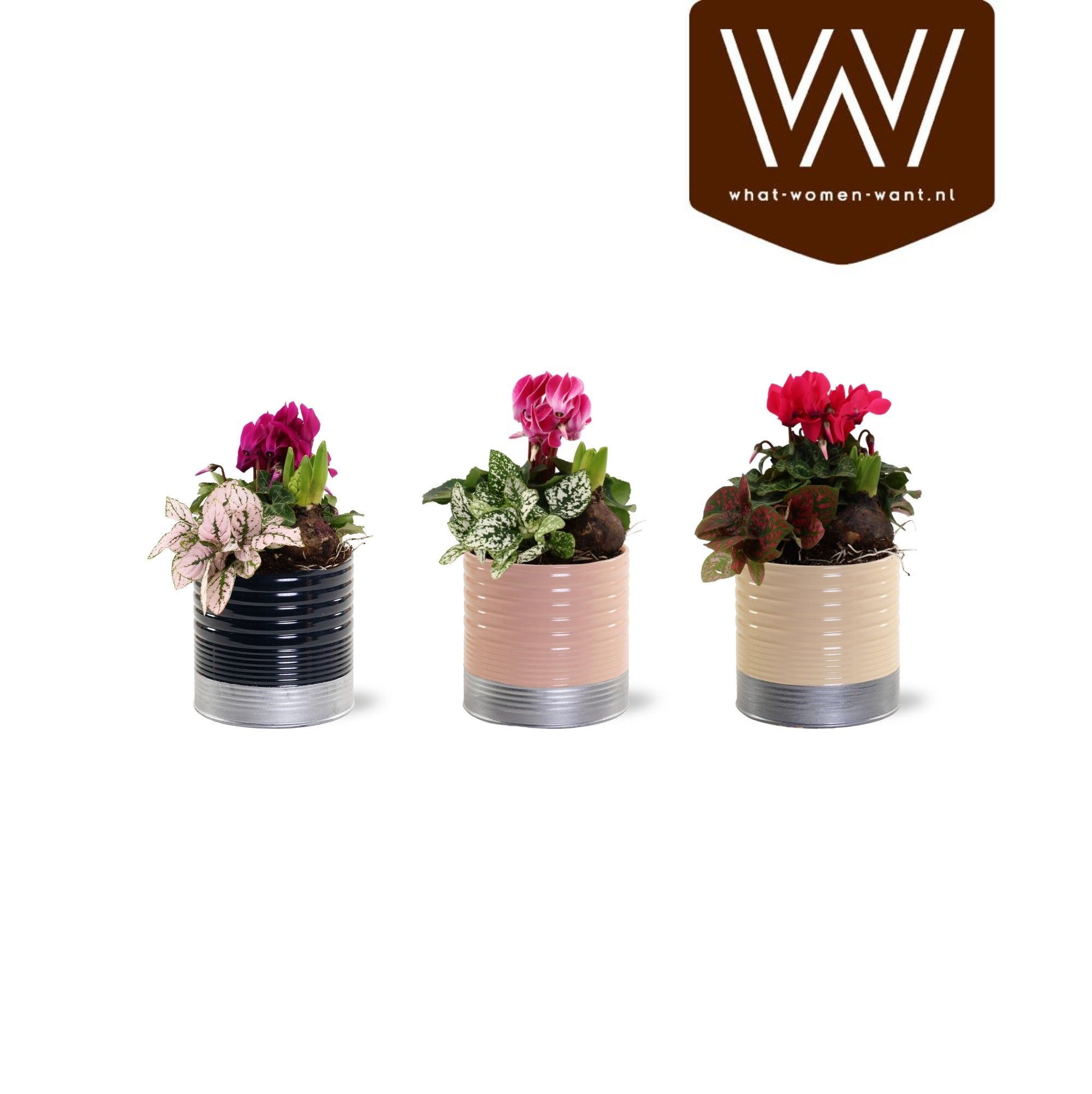 Collectie "Bubbles & wine" - Arrangement in Zink Nola, D 12