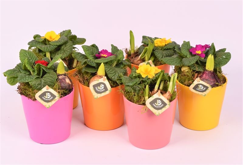 Keramiek pot pas 12 mix, D 12