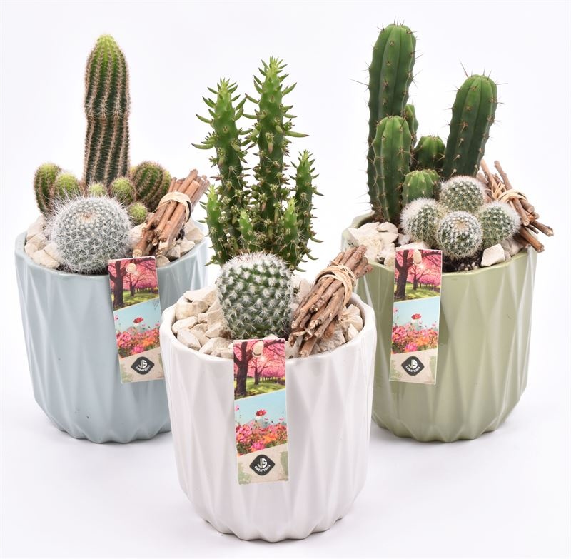 Keramiek sierpot klmix 13cm, D 13