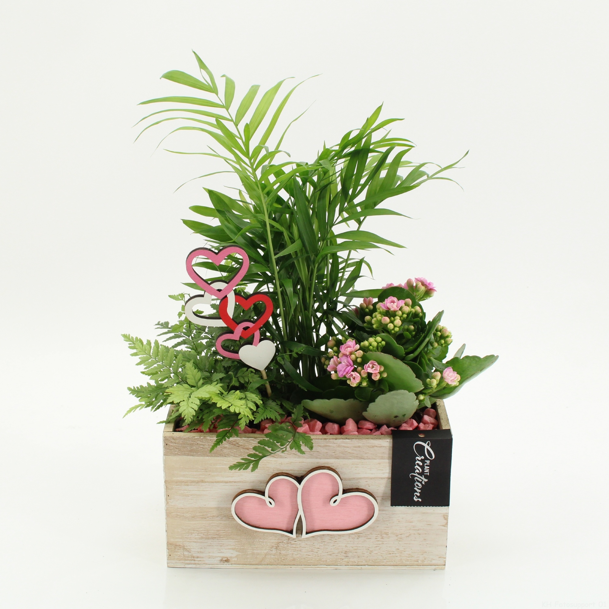 ENMD-2618 English Mother's day, D 20