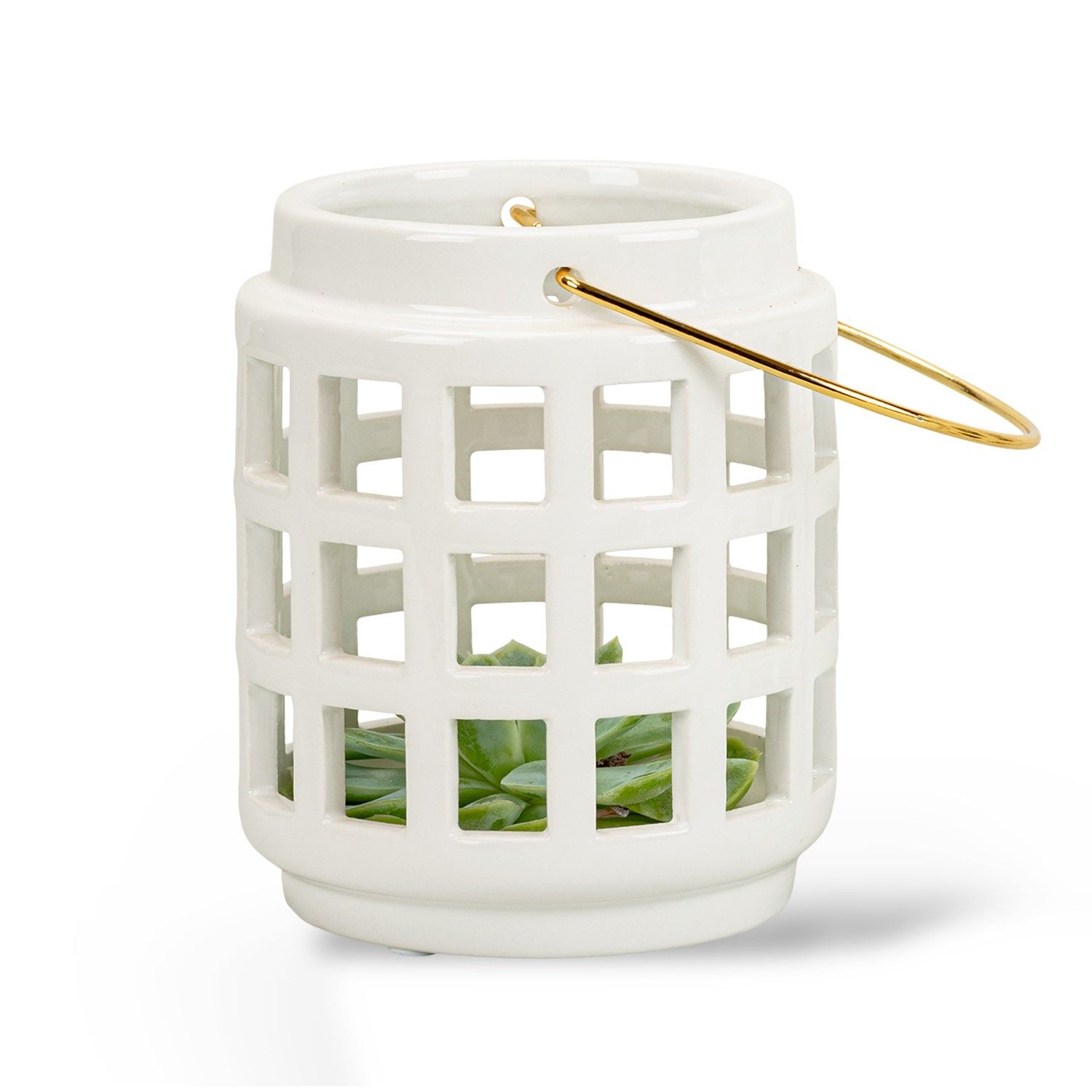 Ceramic Lantern with Echeveria, D 6