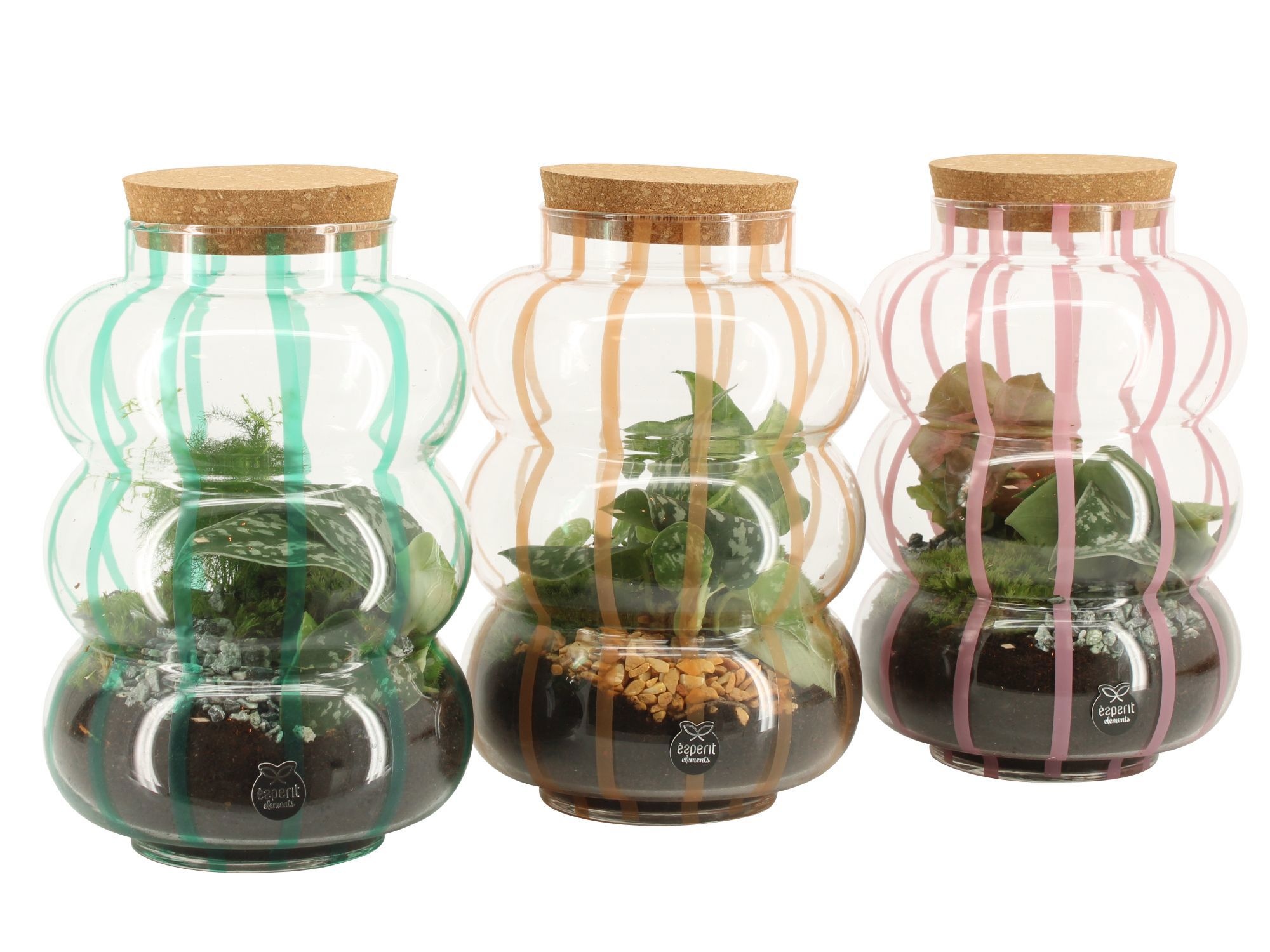 90874: Terrarium arrangement, D 17