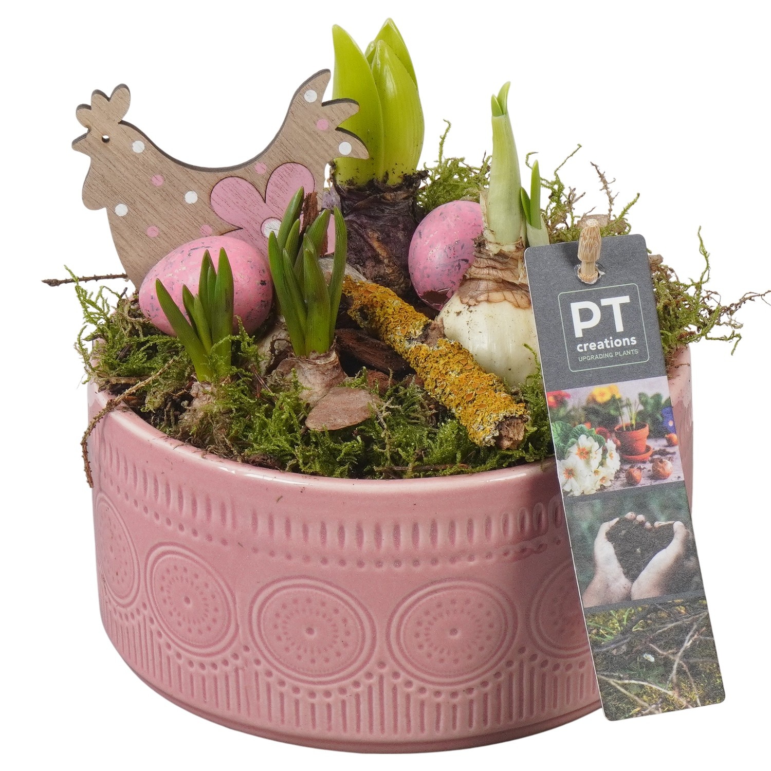 PTBMP5739 Arrangement Easter Bulbs Mix in keramiek schaal, D 15