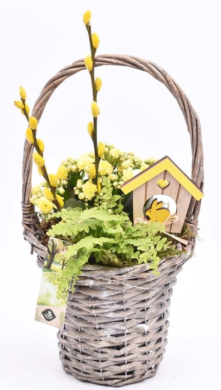 Wilg hengselmand gy 17cm, D 15