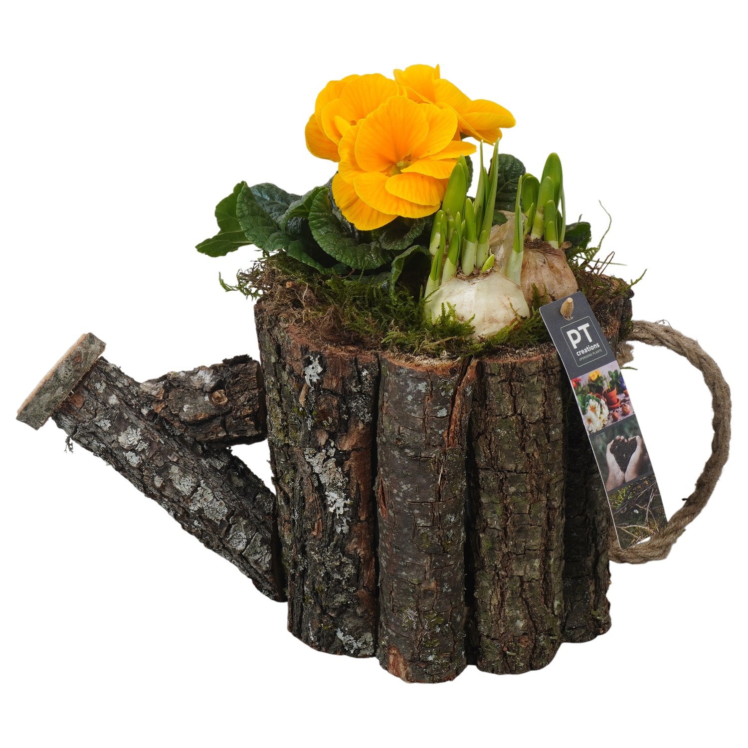 PTBM3960 Arrangement Flower Bulbs Mix in houten gieter, D 30