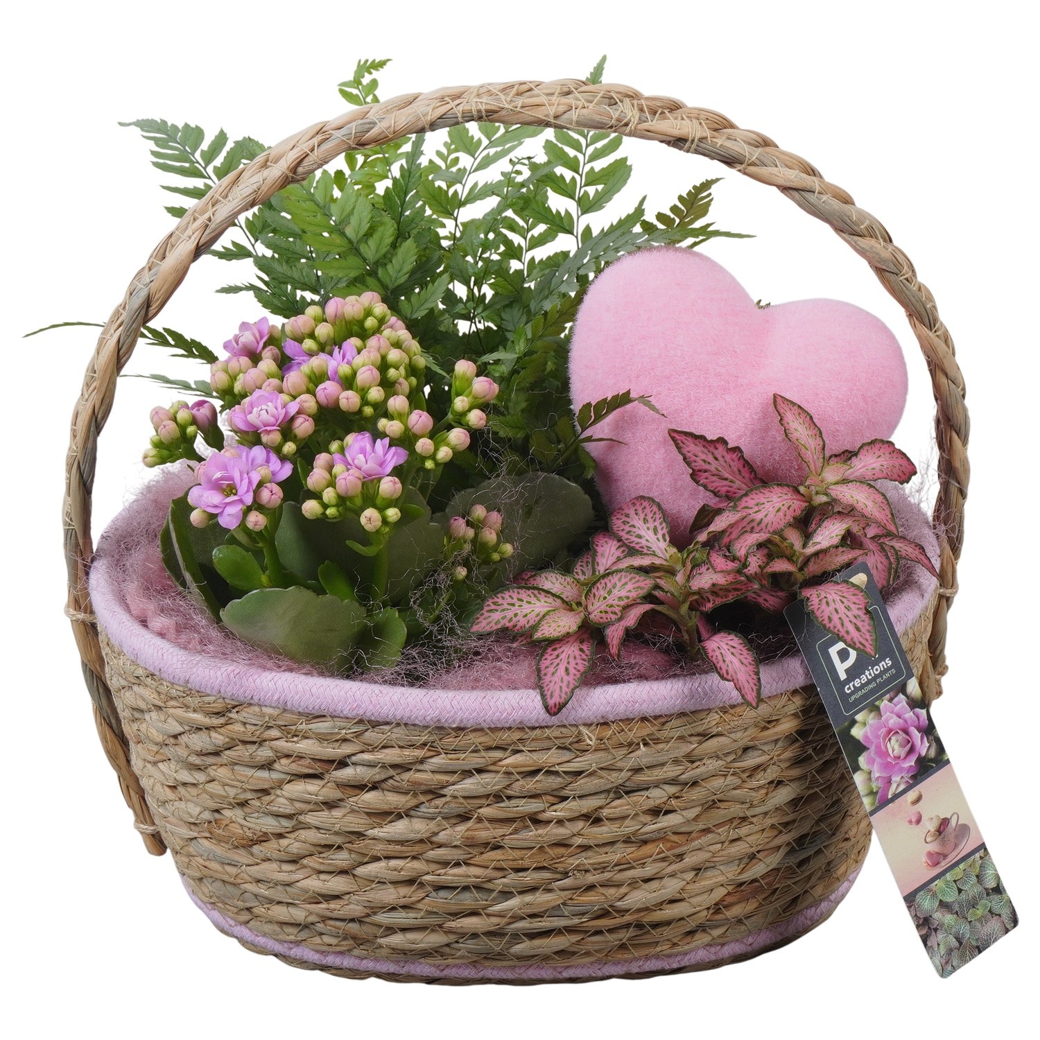 PTVMB2335 Arrangement Valentines-Mothersday in riet mand, D 24
