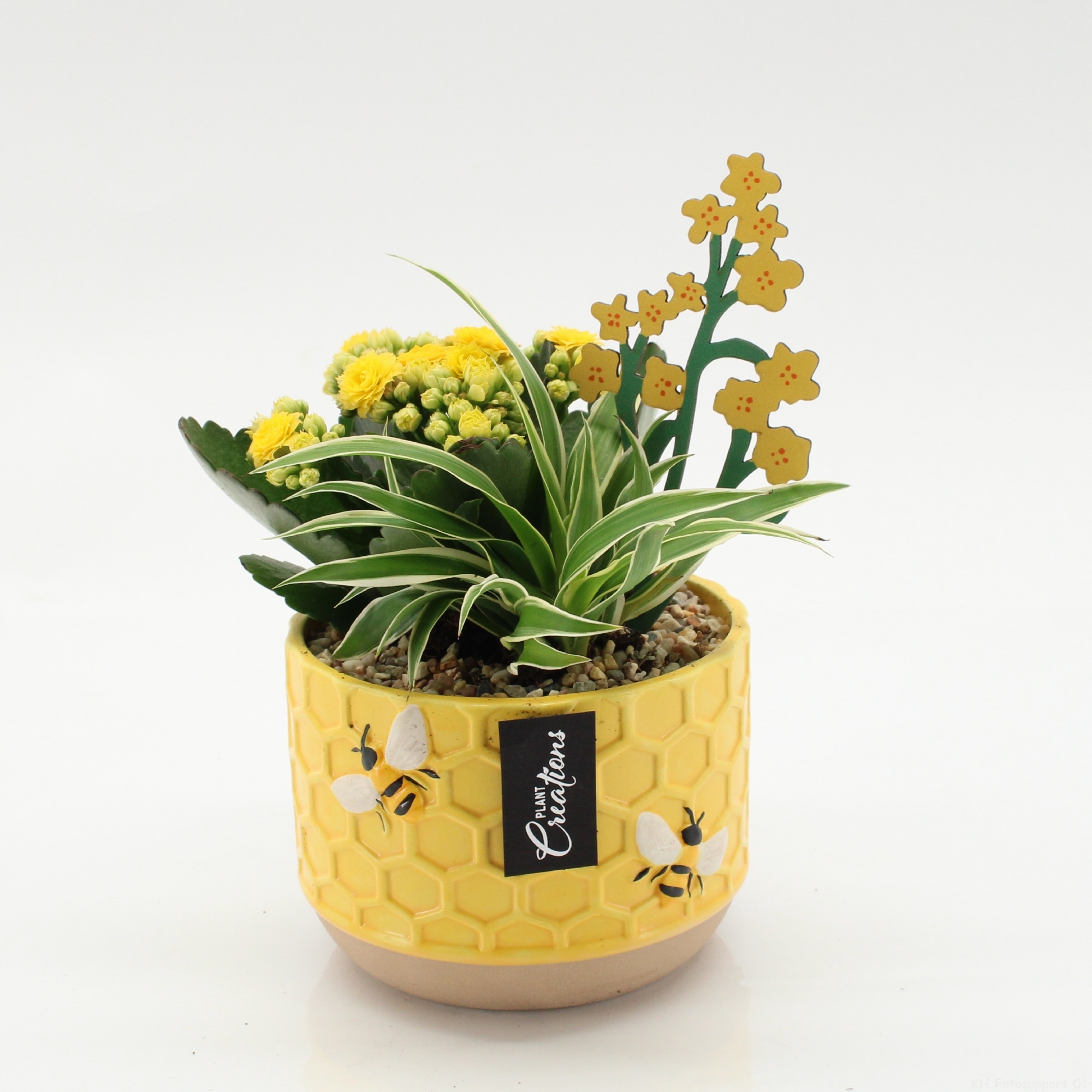 ESCR-2636 Essentials, D 12