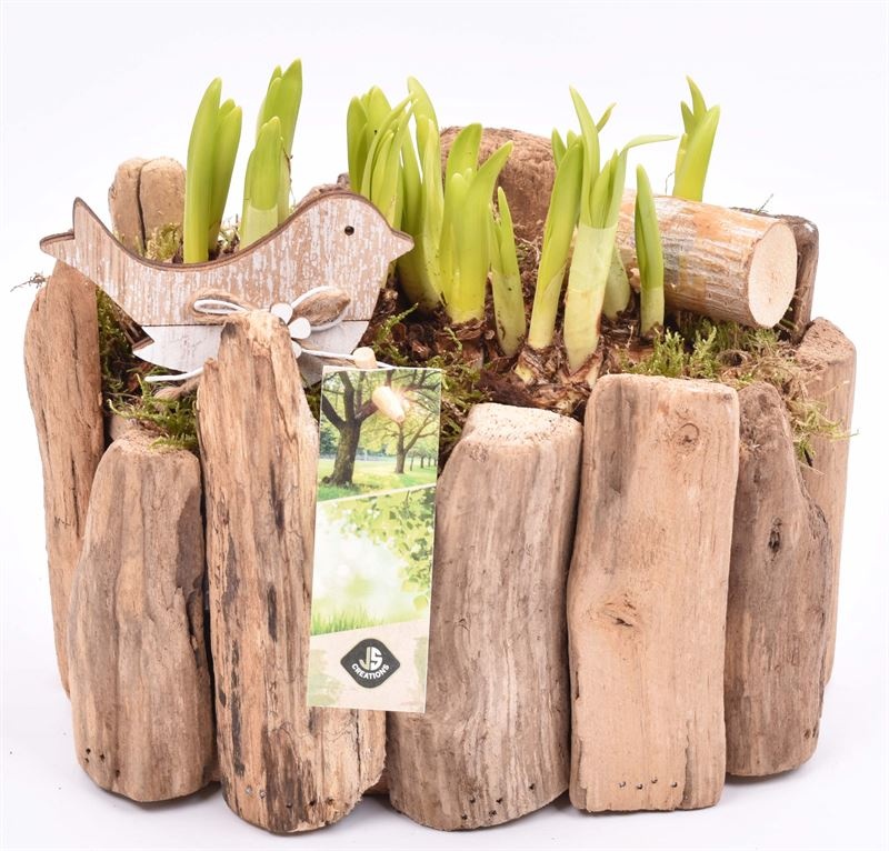 Druivenhout ovaal 21x14.5cm, D 21