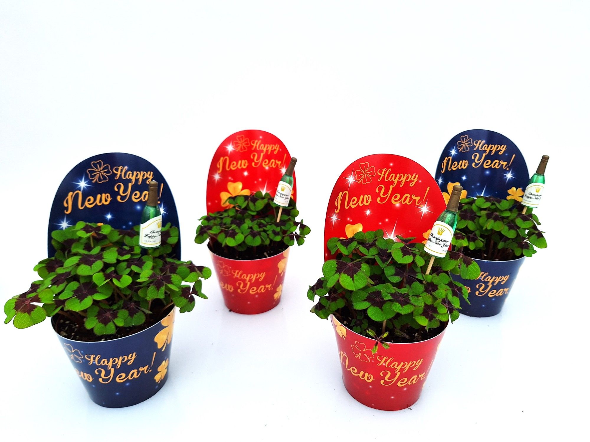 Happy New Year champagne, D 9 cm