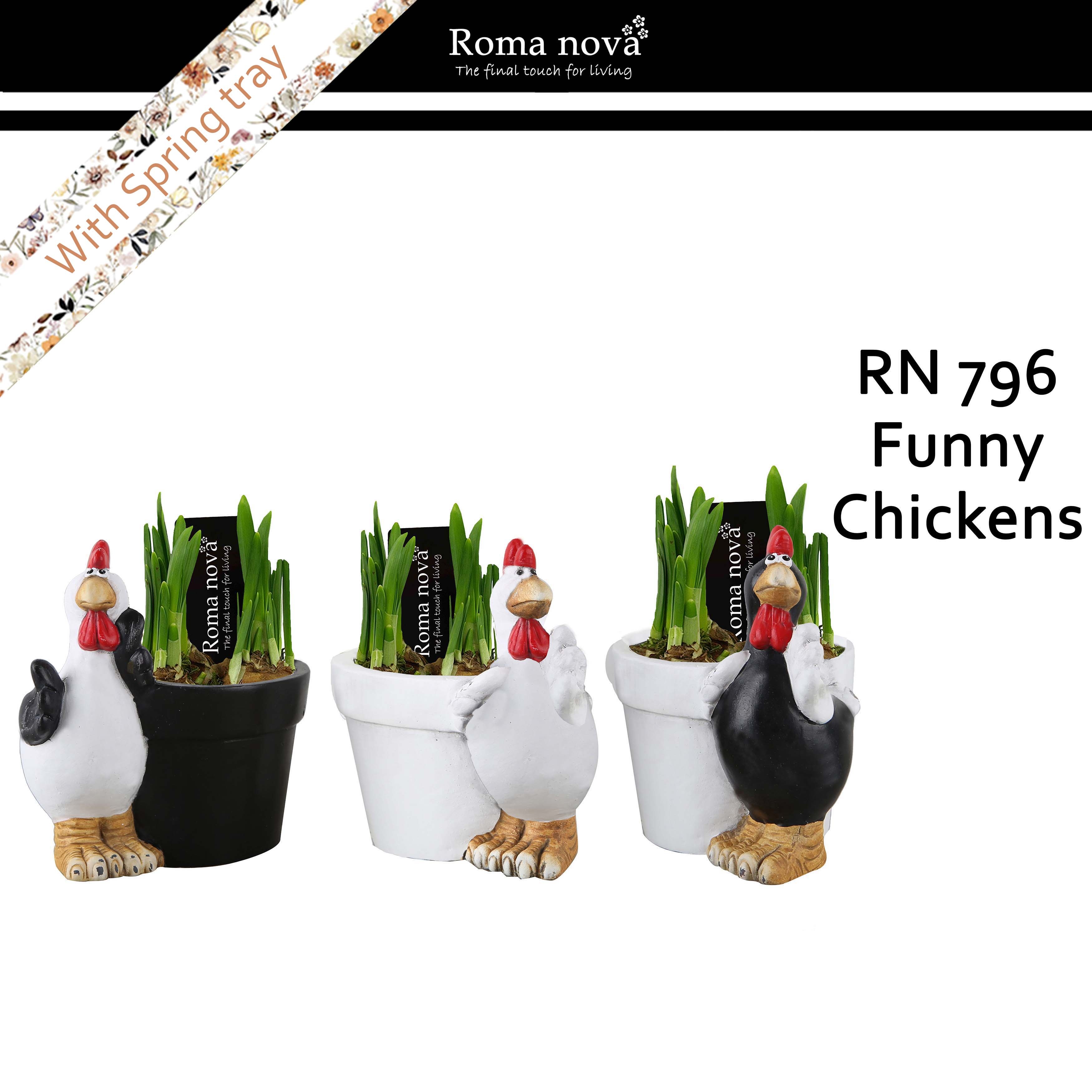 796 - Funny Chickens (Tete a Tete), D 15