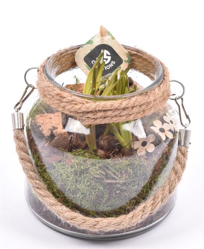 Glas vaas met touw 16cm, D 16