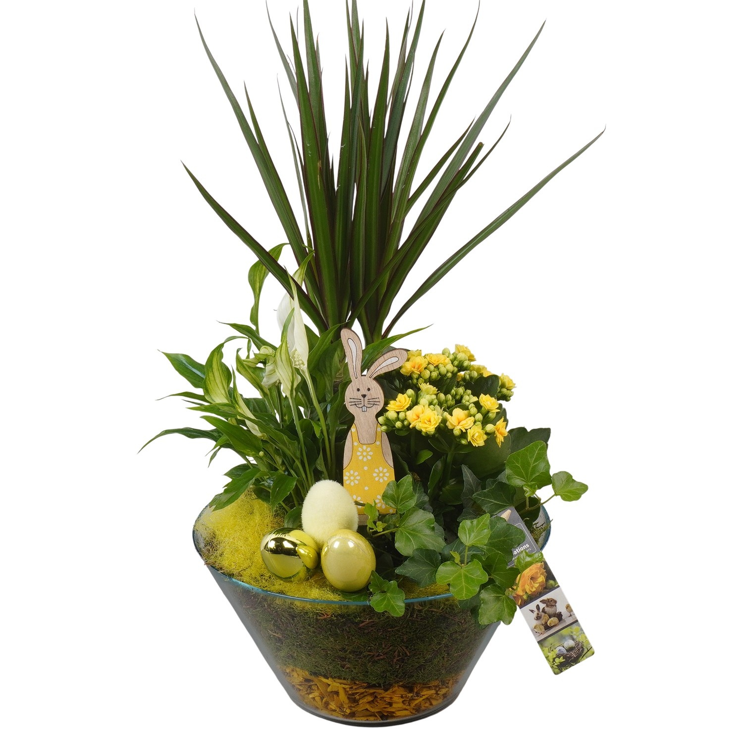 PTPG9361 Arrangement Easter in glasschaal, D 26