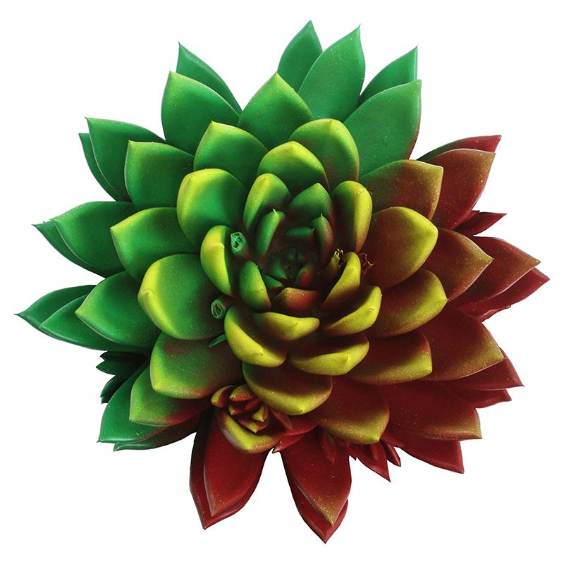 Miranda coloured flag Portugal, D 10,5