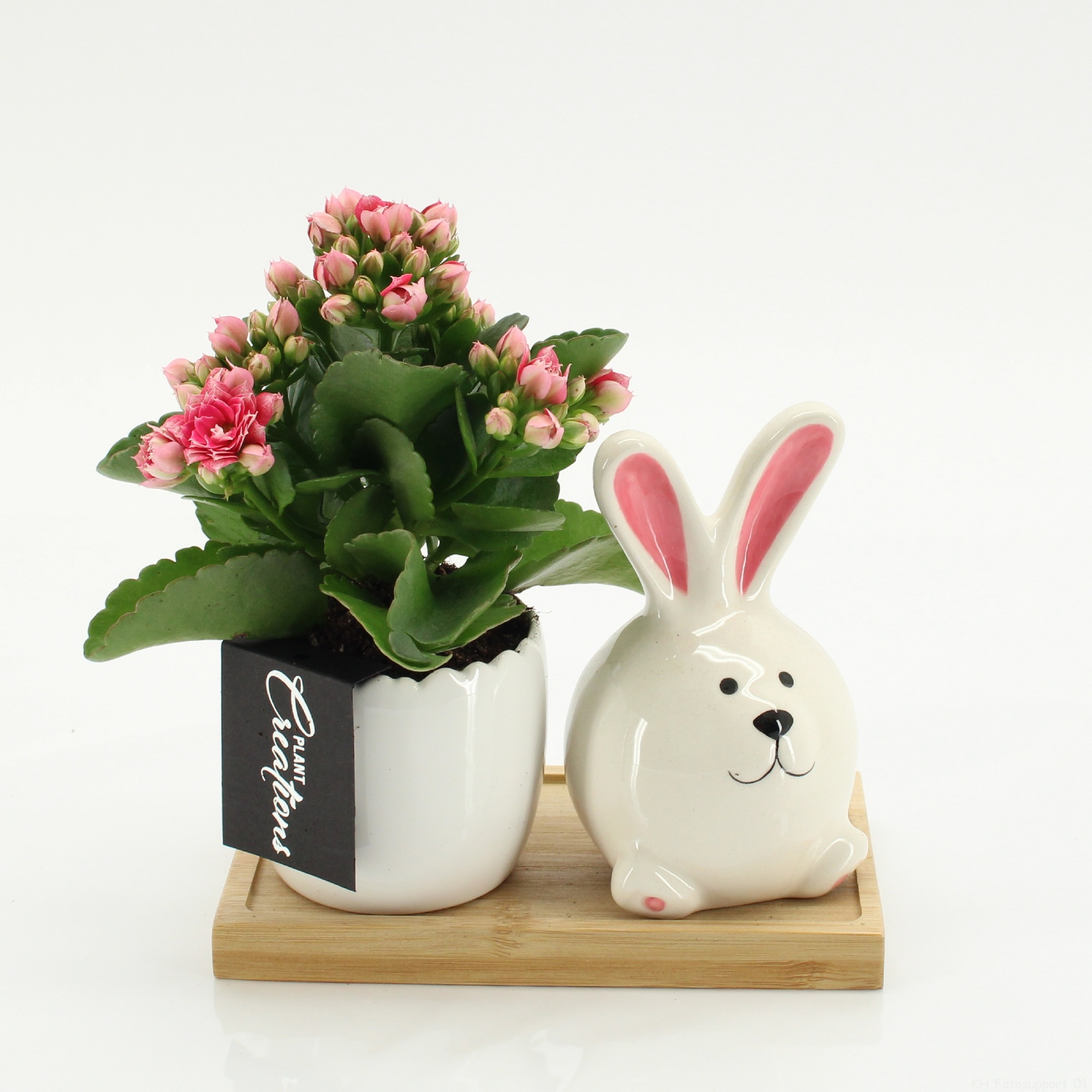PSCR-2603RZ Easter Essentials, D 15