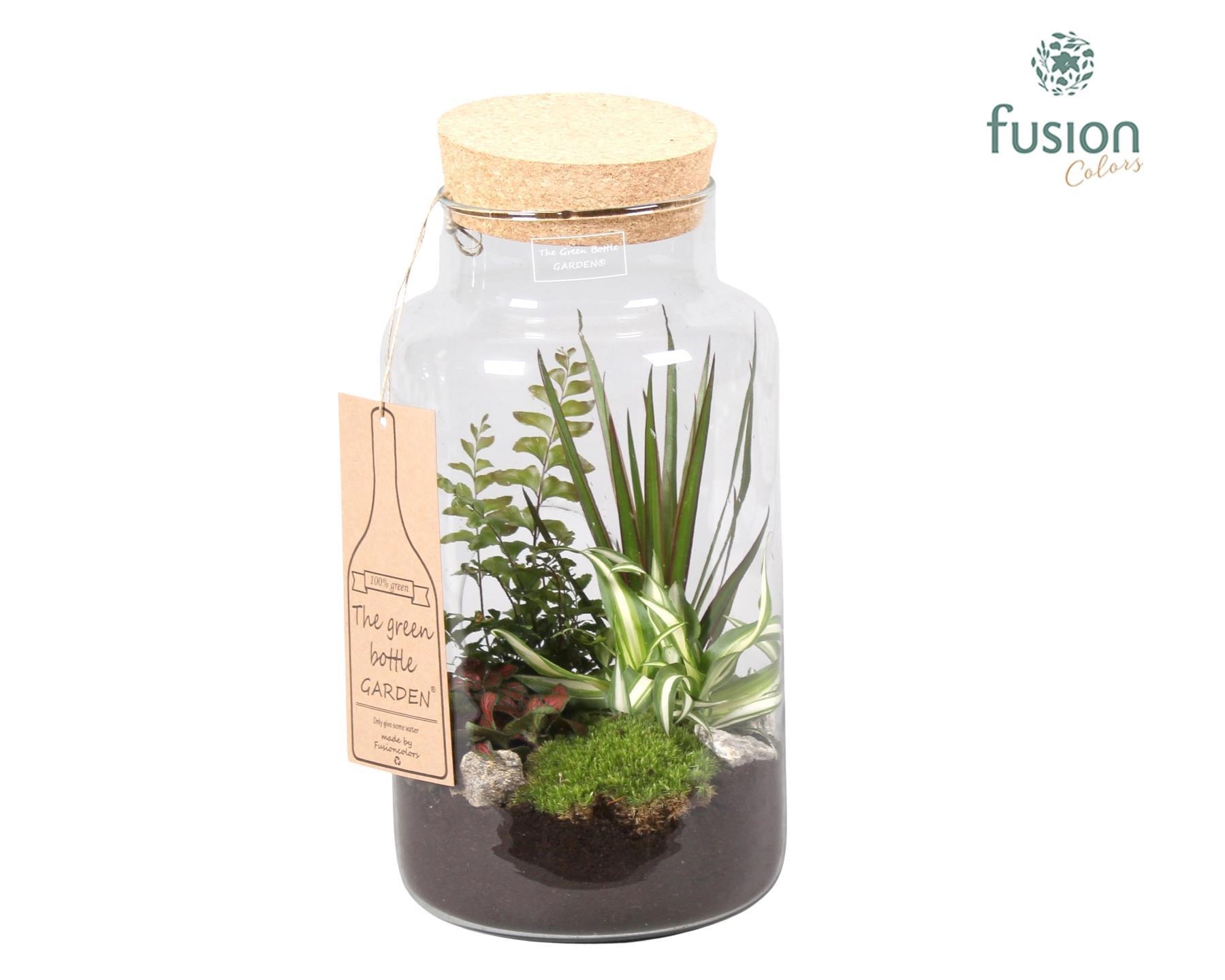 Green Bottle met Arrangement., D 19